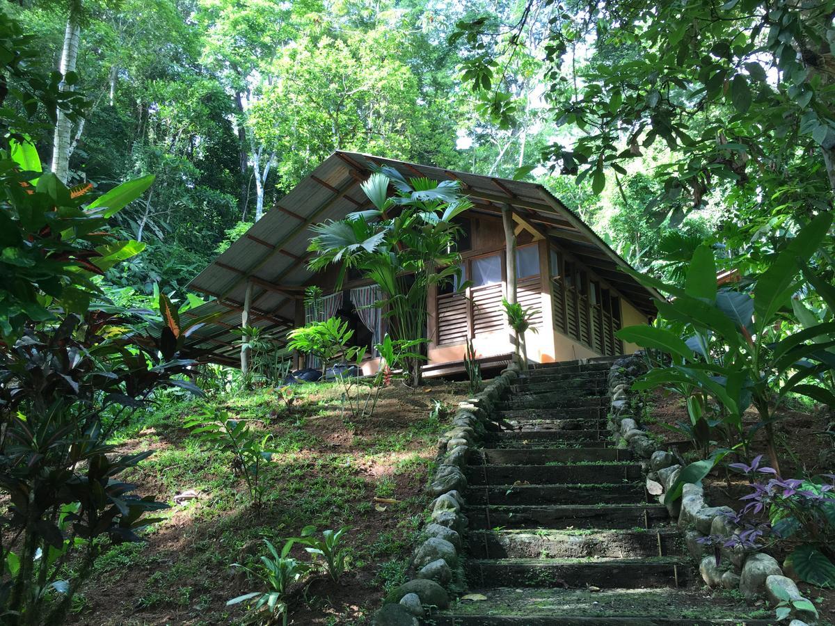 Amazonita Ecolodge Dos Brazos Exterior foto