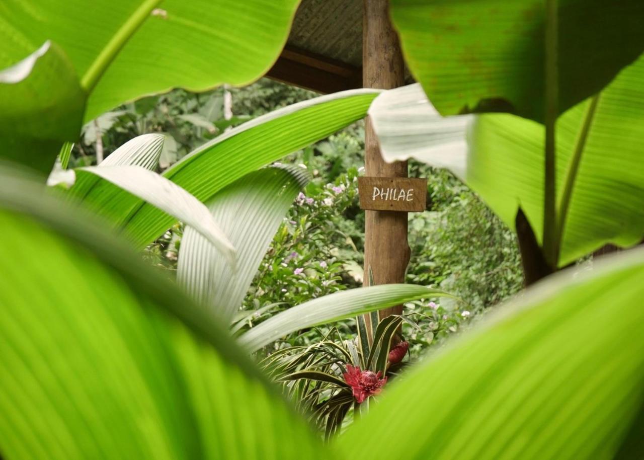 Amazonita Ecolodge Dos Brazos Exterior foto