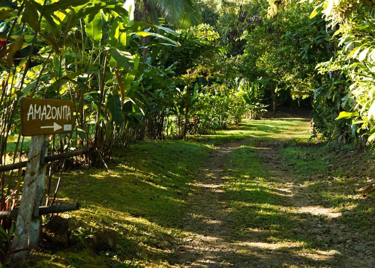 Amazonita Ecolodge Dos Brazos Exterior foto